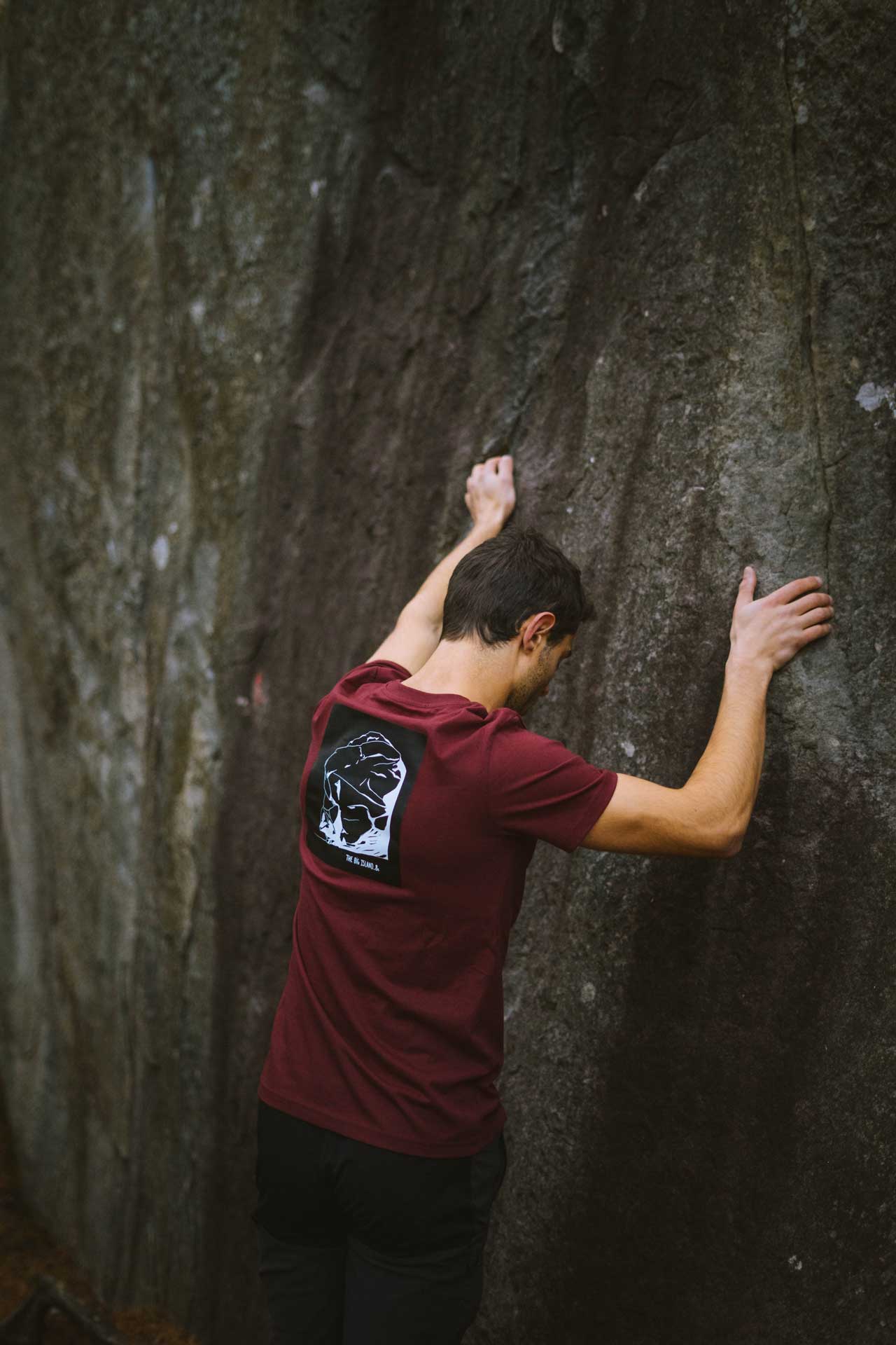 T-shirt unisexe “Big Island"